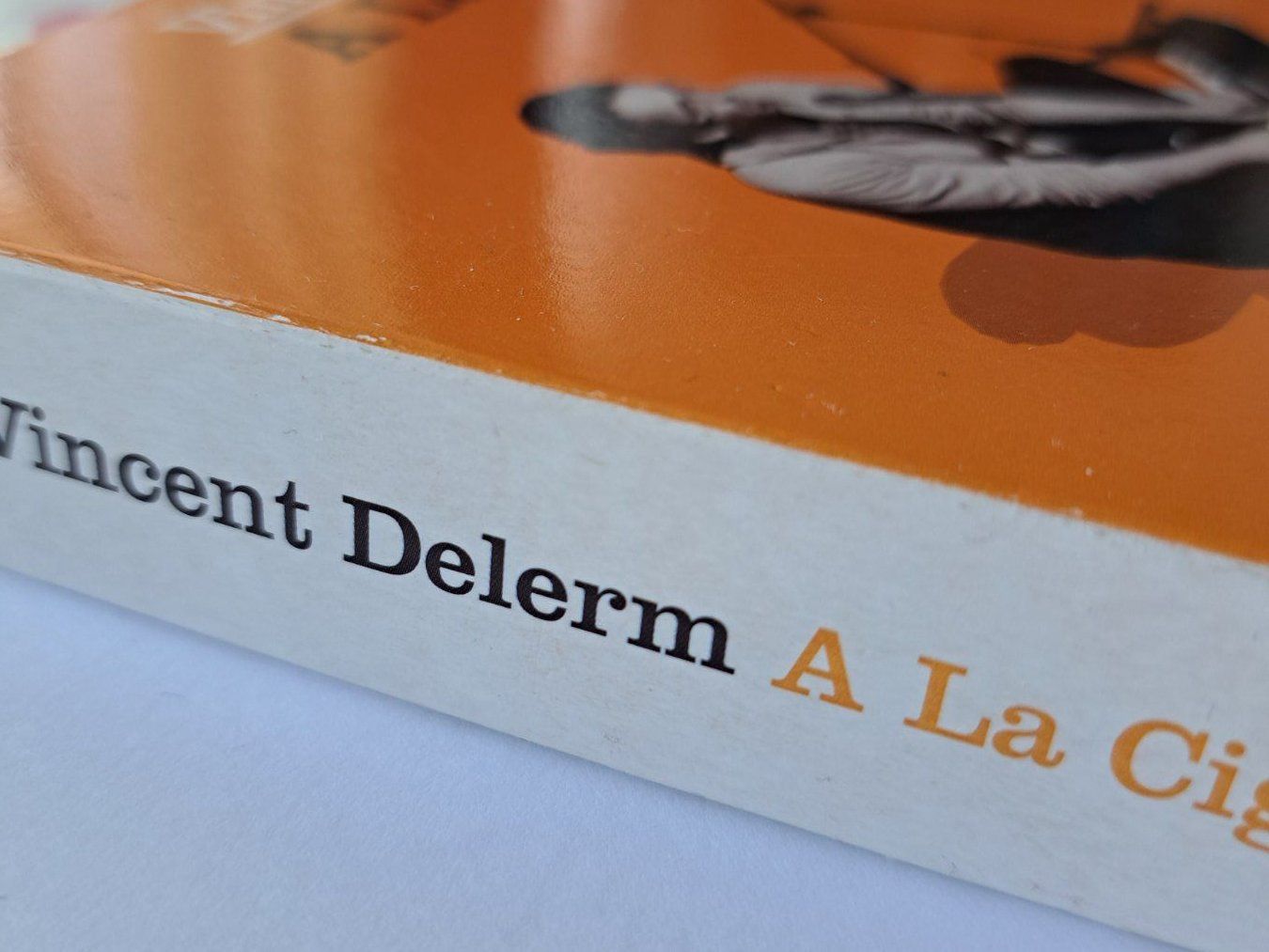 CD: Cd + DVD Vincent Delerm à la Cigale  – Usato da Pully venduto da bro_n52j 1