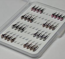 Box mit 32 Tungsten Nymphen