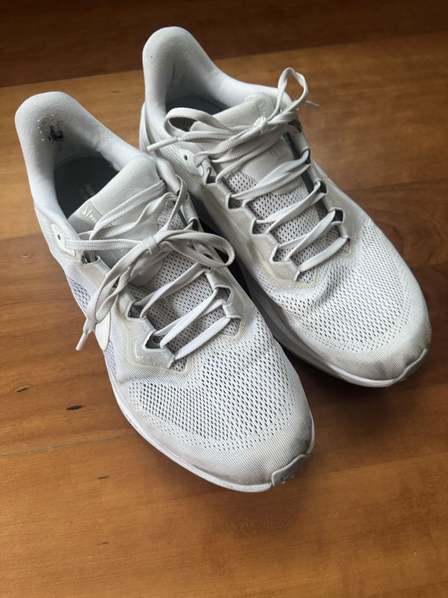Nike Chaussures hommes: Nike Pegasus Grösse 45 – D'occasion à Wettswil par alstel24