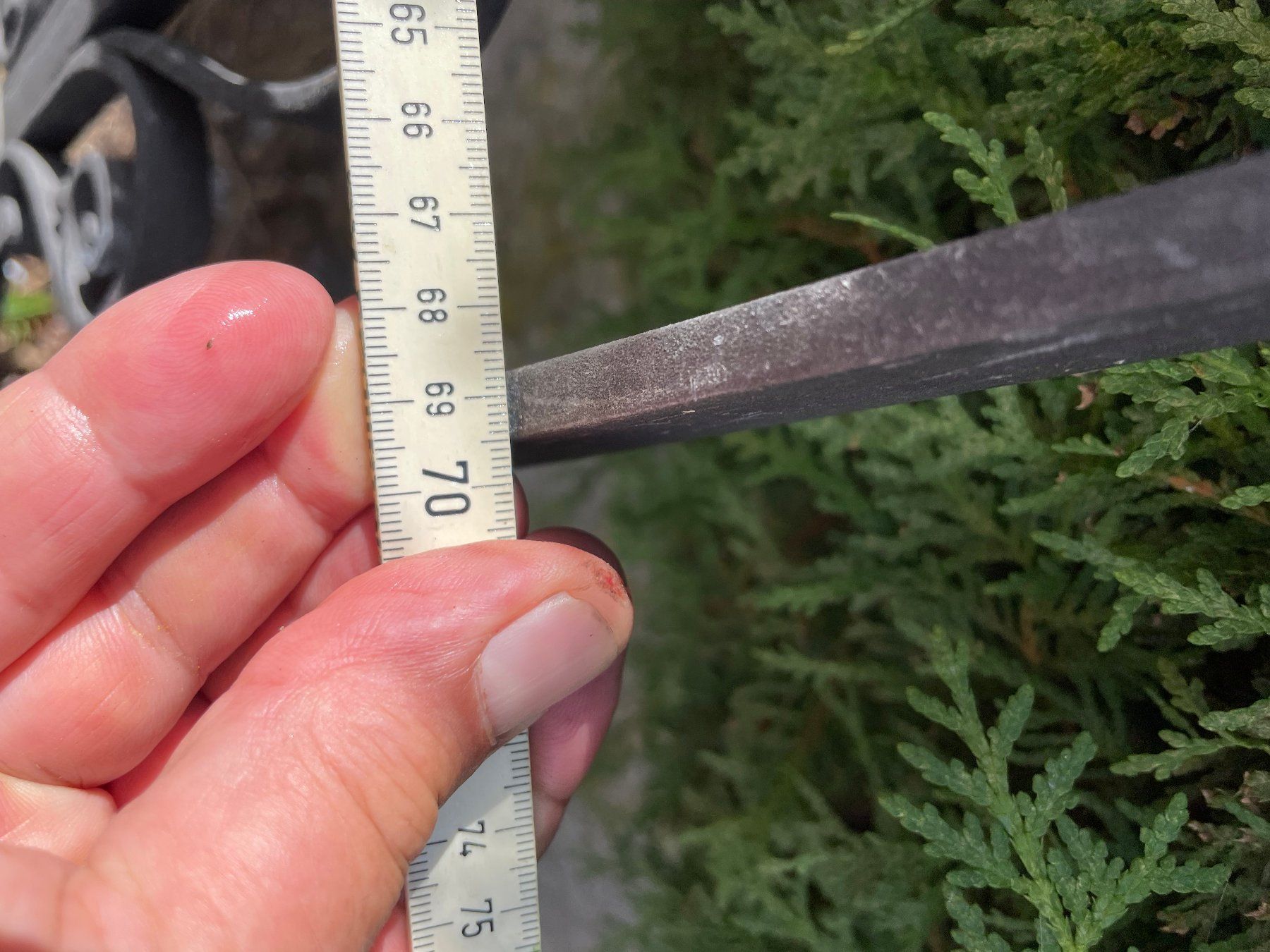 Gitter & Roste: Fenster-Gitter – Gebraucht aus Forch von ESELSTEIN 4