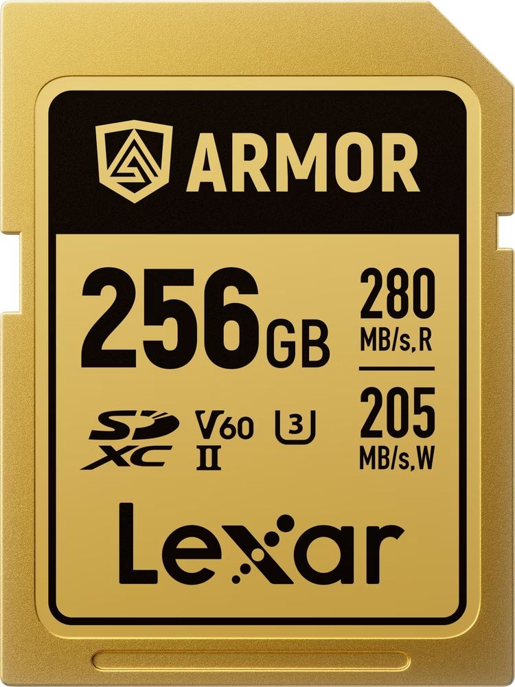 Lexar Cartes mémoire: Lexar SDXC UHS-II 256GB V60 Armor  – Neuf avec emballage d'origine à Villigen par Smashbam 1