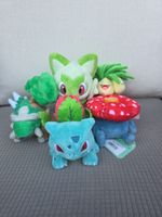 Lotto Pokémon Fit Erba Japan
