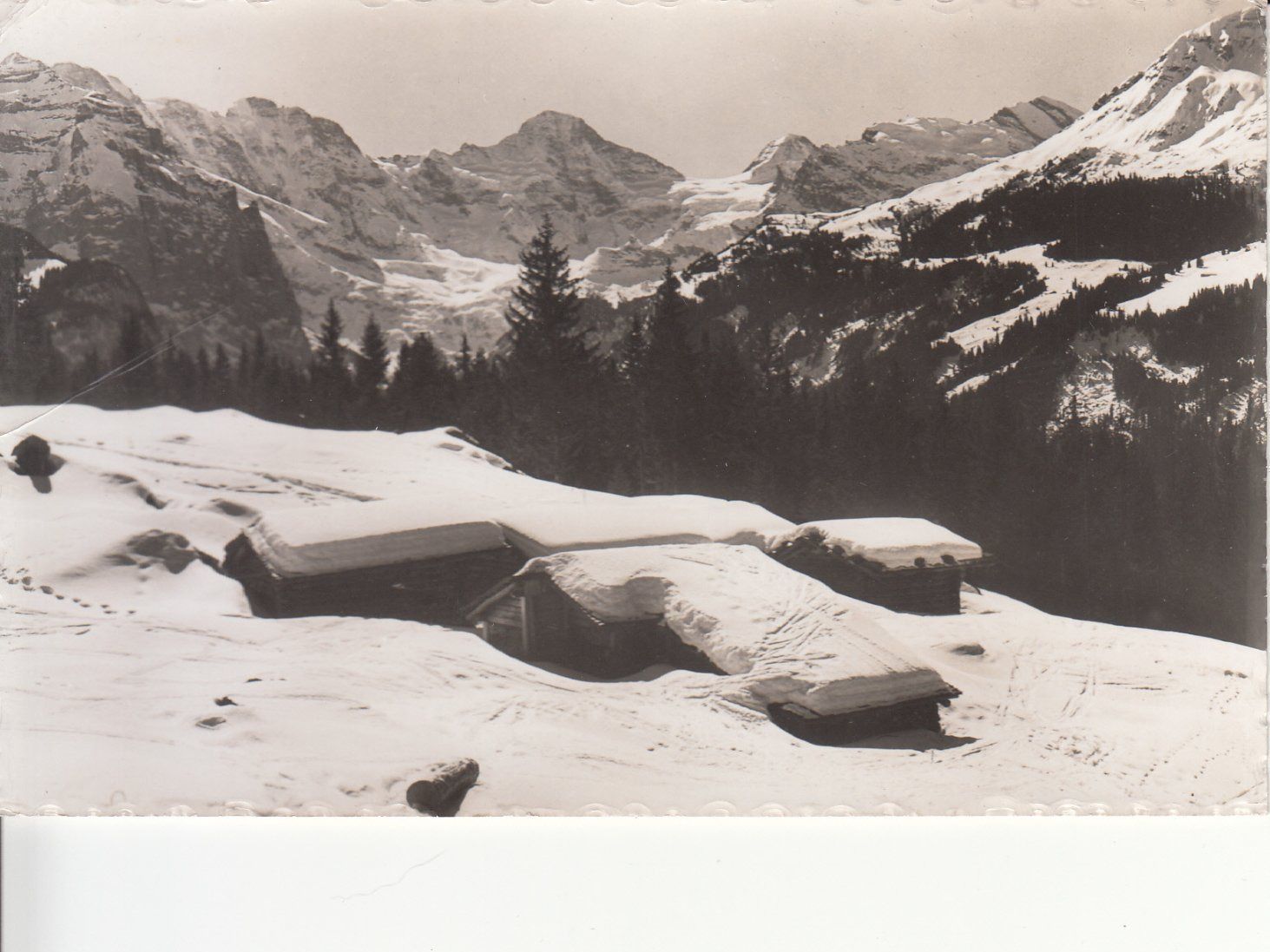 Ansichtskarten: Wengen 1955 – Gebraucht aus Bürglen TG von StampGraf