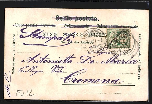Cartes postales: AK Bellinzona, Panorama – D'occasion à Berlin par bartko-reher 1