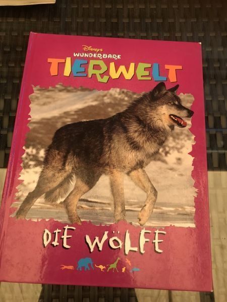 Libri: Tierwelt die Wölfe – Usato da Bergdietikon venduto da book-4-you