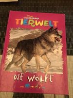 Tierwelt die Wölfe