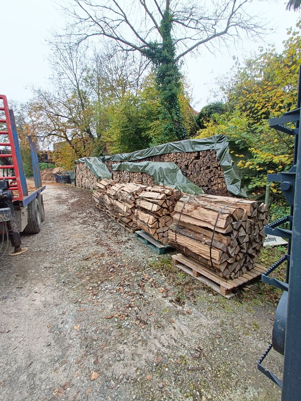Articoli in legno: Buchen Brennholz 33cm 1Stér – Nuovo (secondo la descrizione) da Gipf-Oberfrick venduto da HindenG-O 4