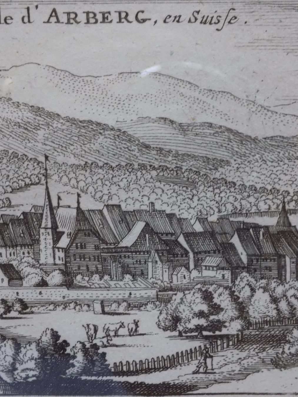 Incisioni: Aarberg von Scheuchzer – Usato da Risch venduto da Rischli15 6