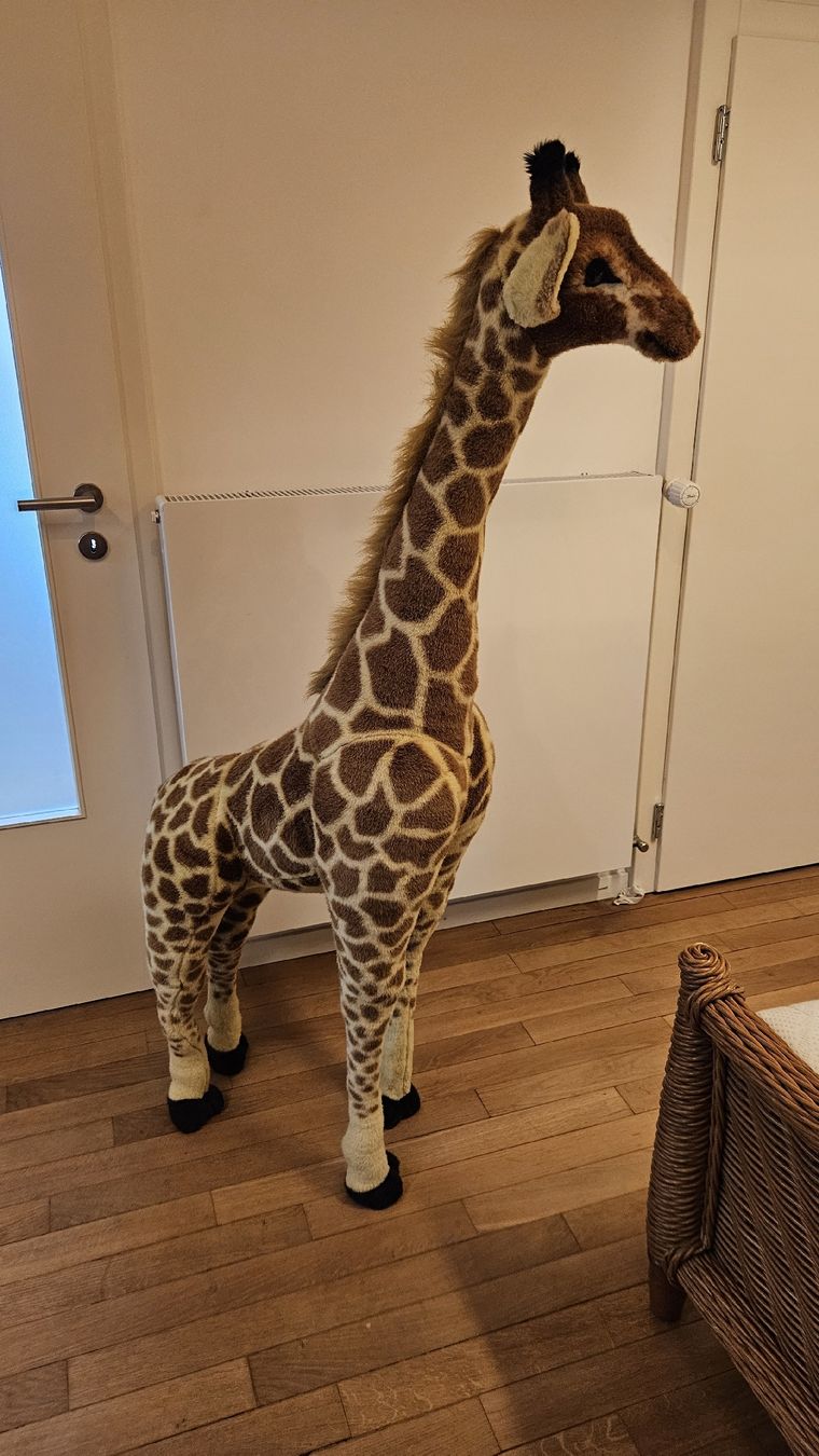 Giocattoli: Grande Girafe en peluche  – Usato da Yverdon-les-Bains venduto da ac_dric 2