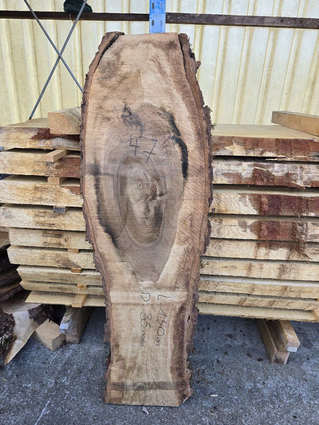 Articoli in legno: Nussbaumbrett – Nuovo e nell'imballaggio originale da Ramsei venduto da Waelchris