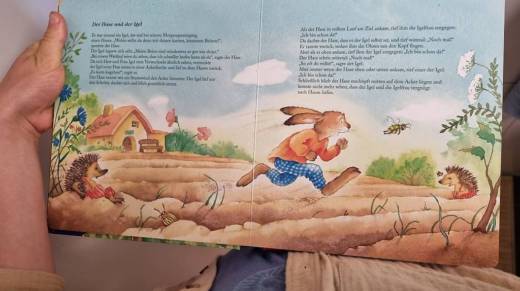 Libri: Märchen buch – Nuovo e nell'imballaggio originale da Münchenstein venduto da vik_6btb 2