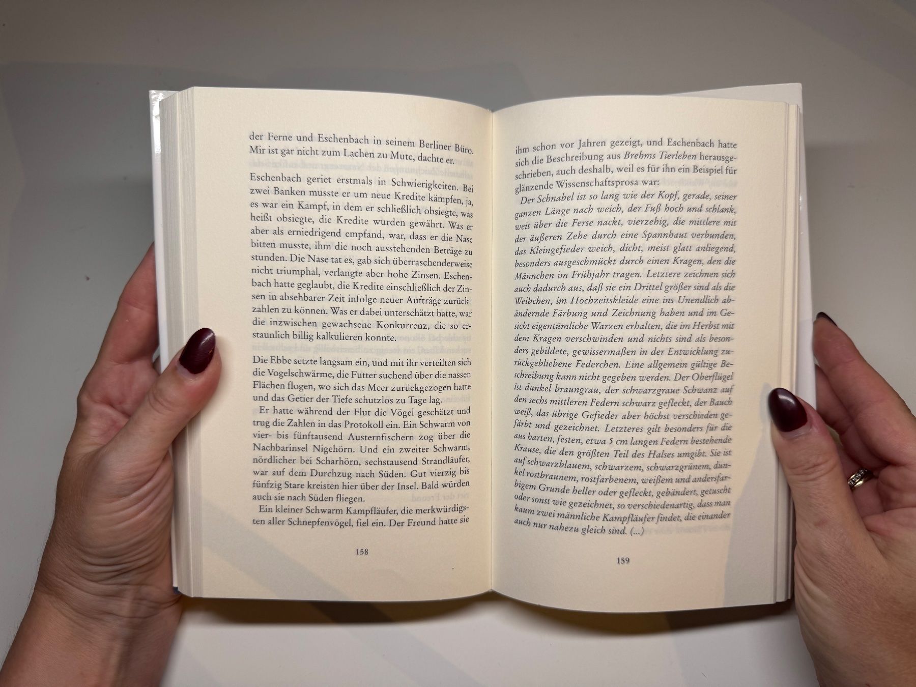Bücher: ROMAN: Uwe Tim, Vogelweide – Gebraucht aus Grosswangen von Deutsche_Romane 7