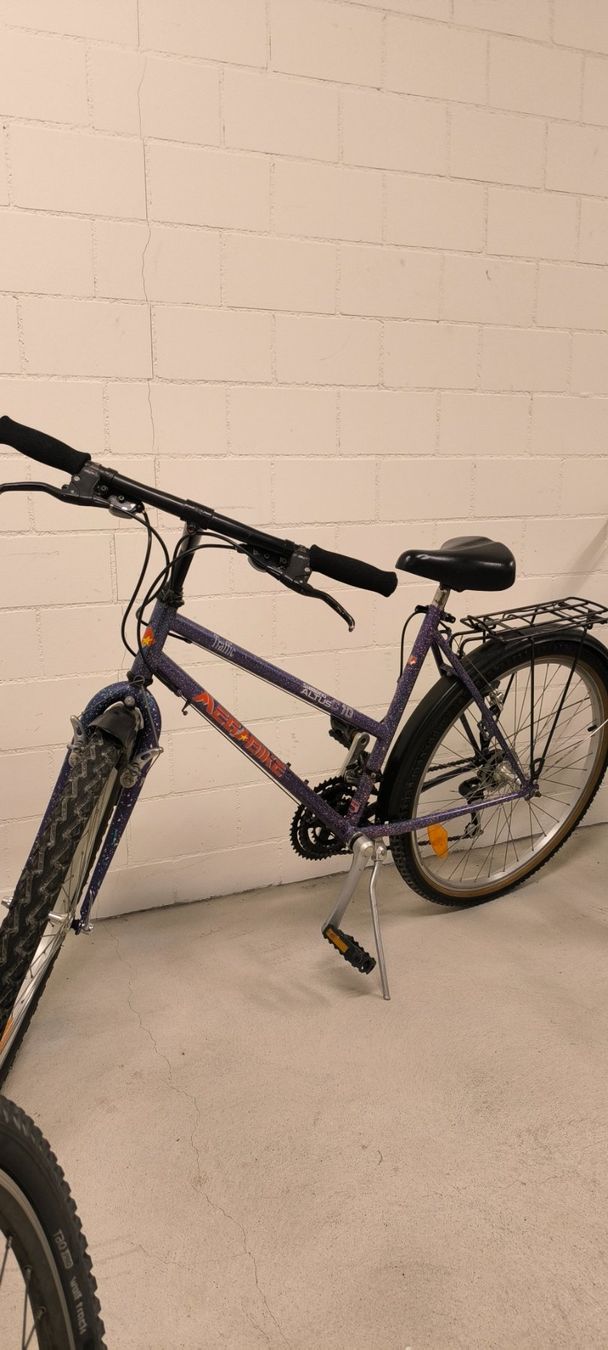 Biciclette: Damenvelo – Usato da Zweidlen venduto da xp4 1