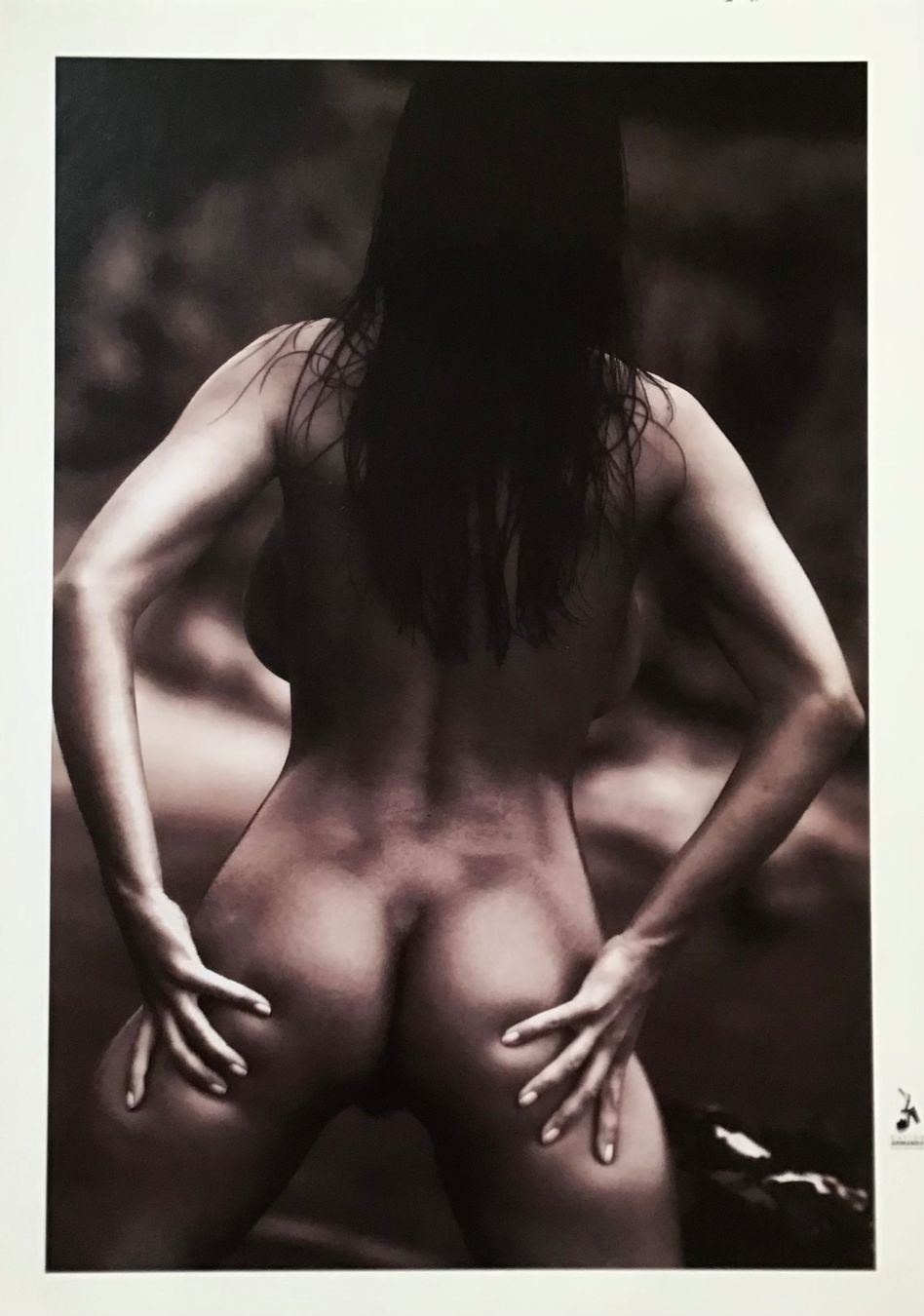 Foto & Immagini: Davide ARMANDO Private Collection Fotografie Komplete Mappe – Usato da Gersau venduto da grafik-kunst 6