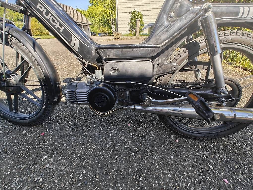 Mofas: Puch Maxi S – Gebraucht aus Boningen von cobu82 2