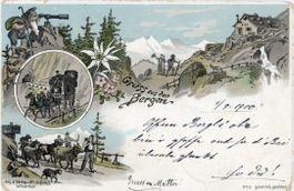 Vitznau LU  -  Berghütte / Pferdekutsche / Viehtrieb um 1900