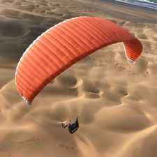 Profile image of nfo_kx26