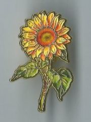 Plaquettes & Badges: Sonnenblume, Pin – D'occasion à Zürich par t24_de