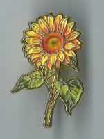 Sonnenblume, Pin