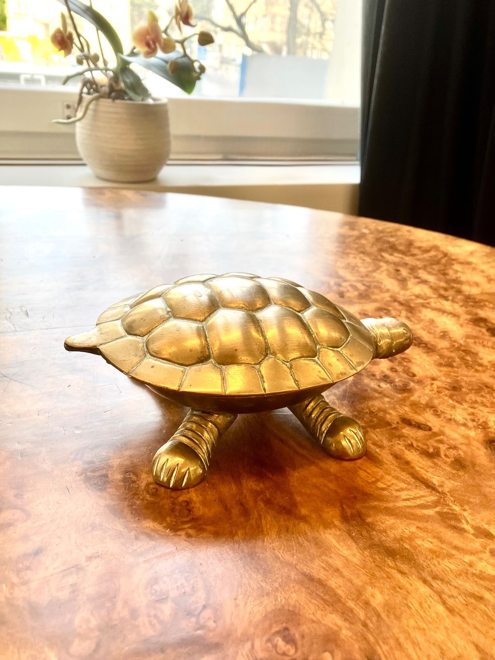 Tutte le decorazioni: Zwei Schöne antike Schildkröten aus Messing – Usato da Schaffhausen venduto da NinaRicardo 1