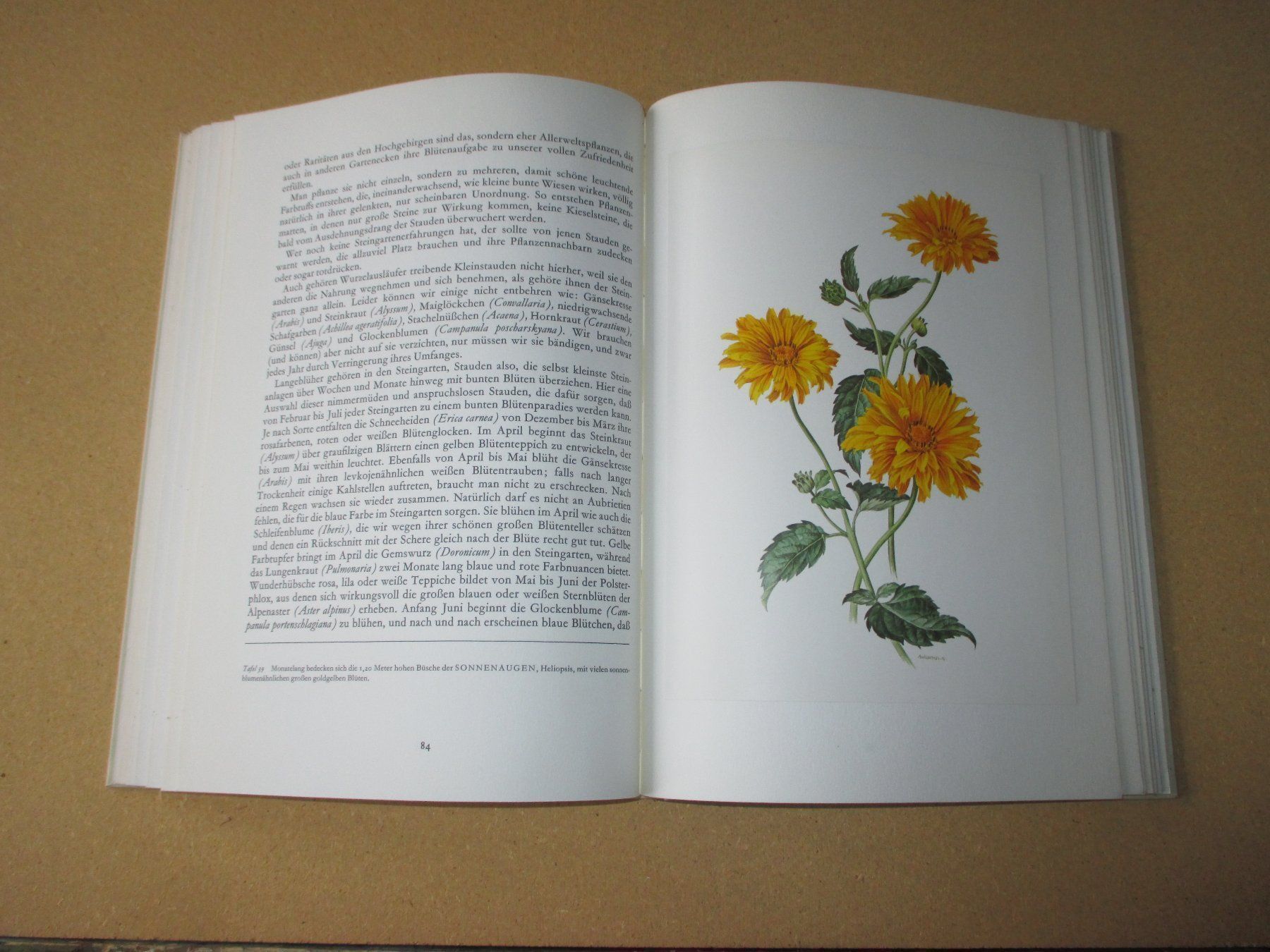 Libri: Wunderwelt der Gartenblumen, 2 Bände – Usato da Flims - Dorf venduto da Stagediver 5