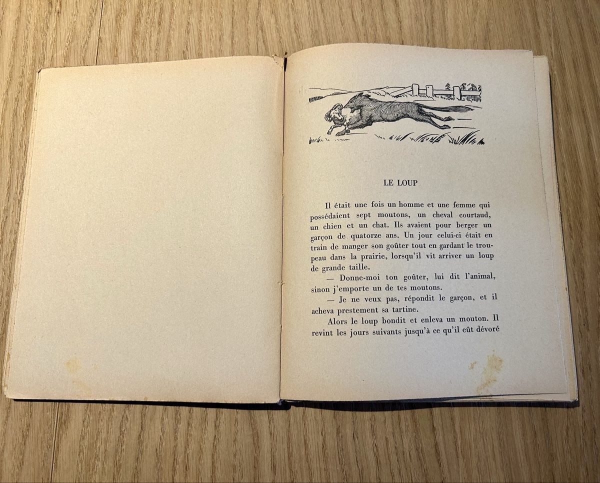 Libri:  Contes danubiens Bourdoncle Albin Michel illustré – Usato da Lausanne venduto da TelmaLouise70 3