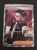 Pokémon Héros Transcendants: Ordre du Boss 256/217 FR