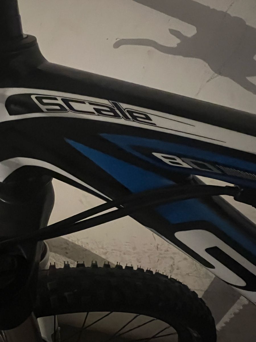 Scott Biciclette: Mountainbike SCOTT scale 80 – Usato da Grenchen venduto da ace_sd5n 1