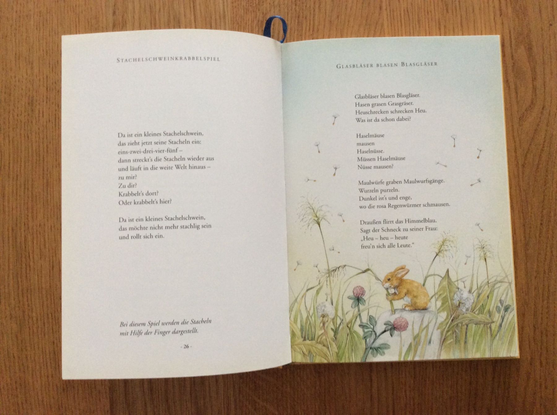 Libri: Weisst du, dass alles sprechen kann? – Usato da Wetzikon ZH venduto da Libelle01 4