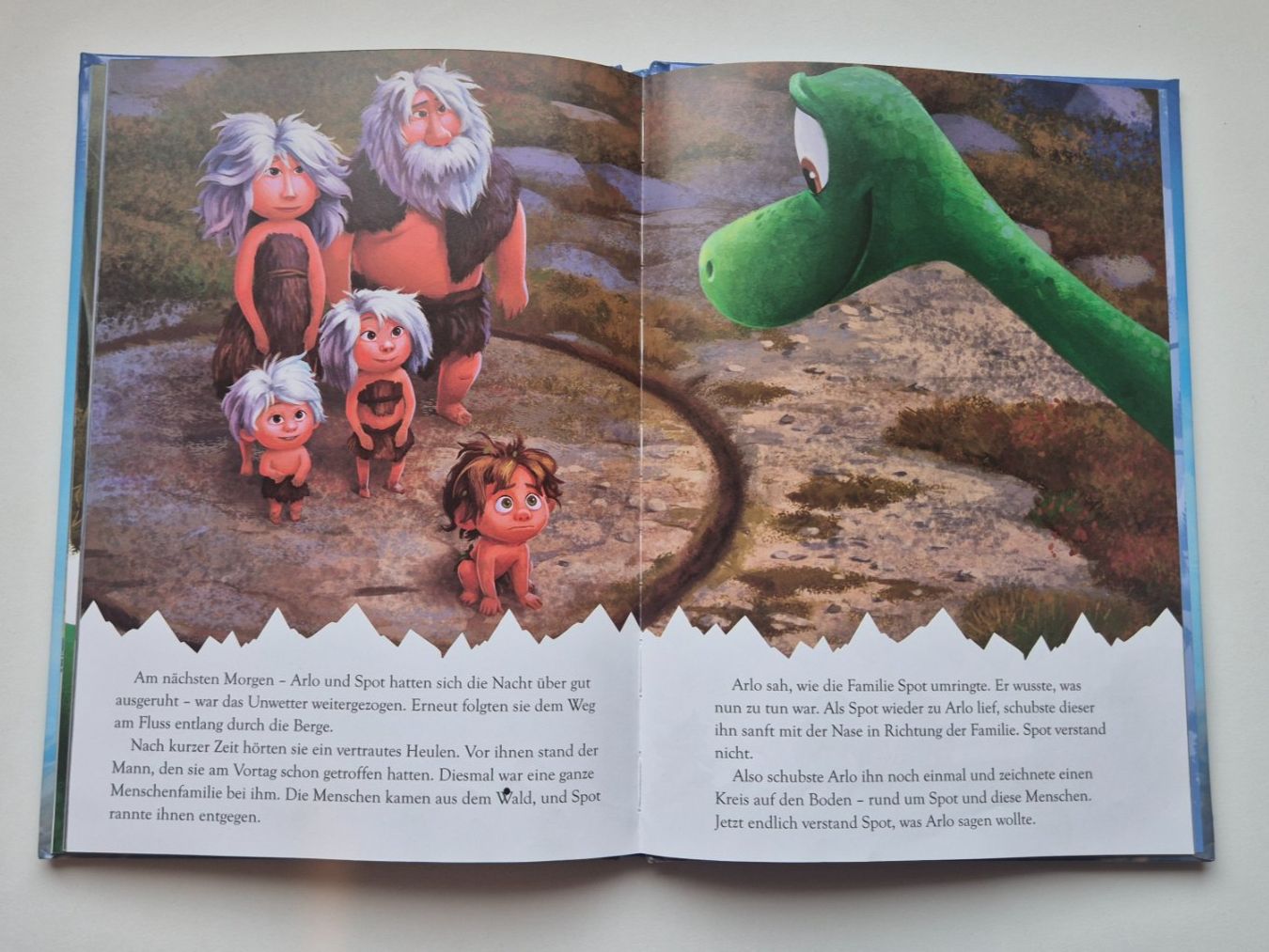 Bücher: ARLO & SPOT    🦕     Disney Pixar – Gebraucht aus Niederweningen von Obson 5