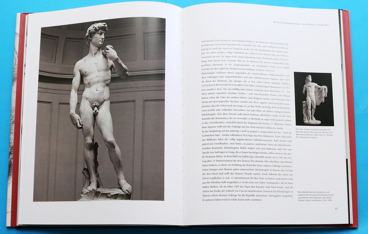 Bücher: Michelangelo – Gebraucht aus Bern von imp_kln9 5