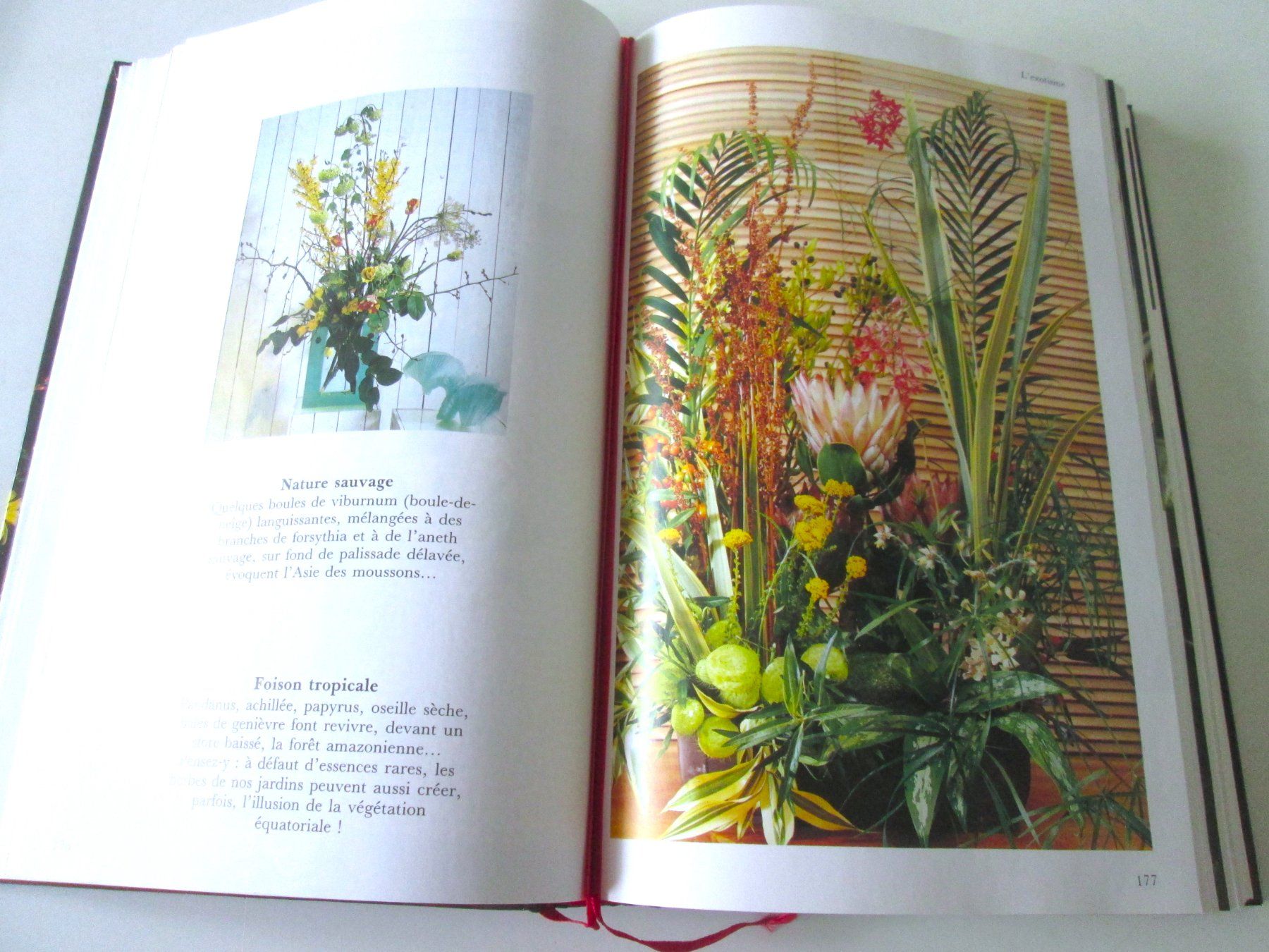 Libri: La Maison Fleurie, 1991 – Usato da Sementina venduto da babucia 2