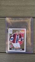 Panini Erling Haaland GOLD EXTRA Sticker FIFA World Cup 2026