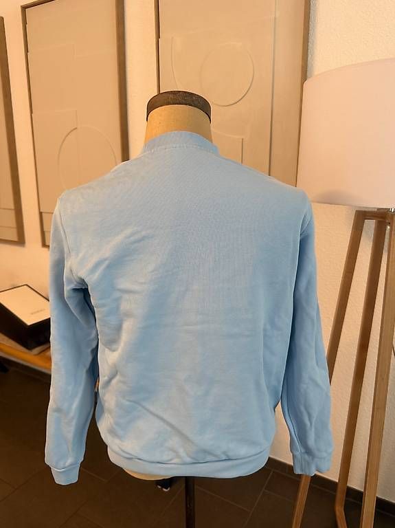 Pullover & Sweatshirts: Lacoste Hellblau – Gebraucht aus Wallisellen von noelzul 1