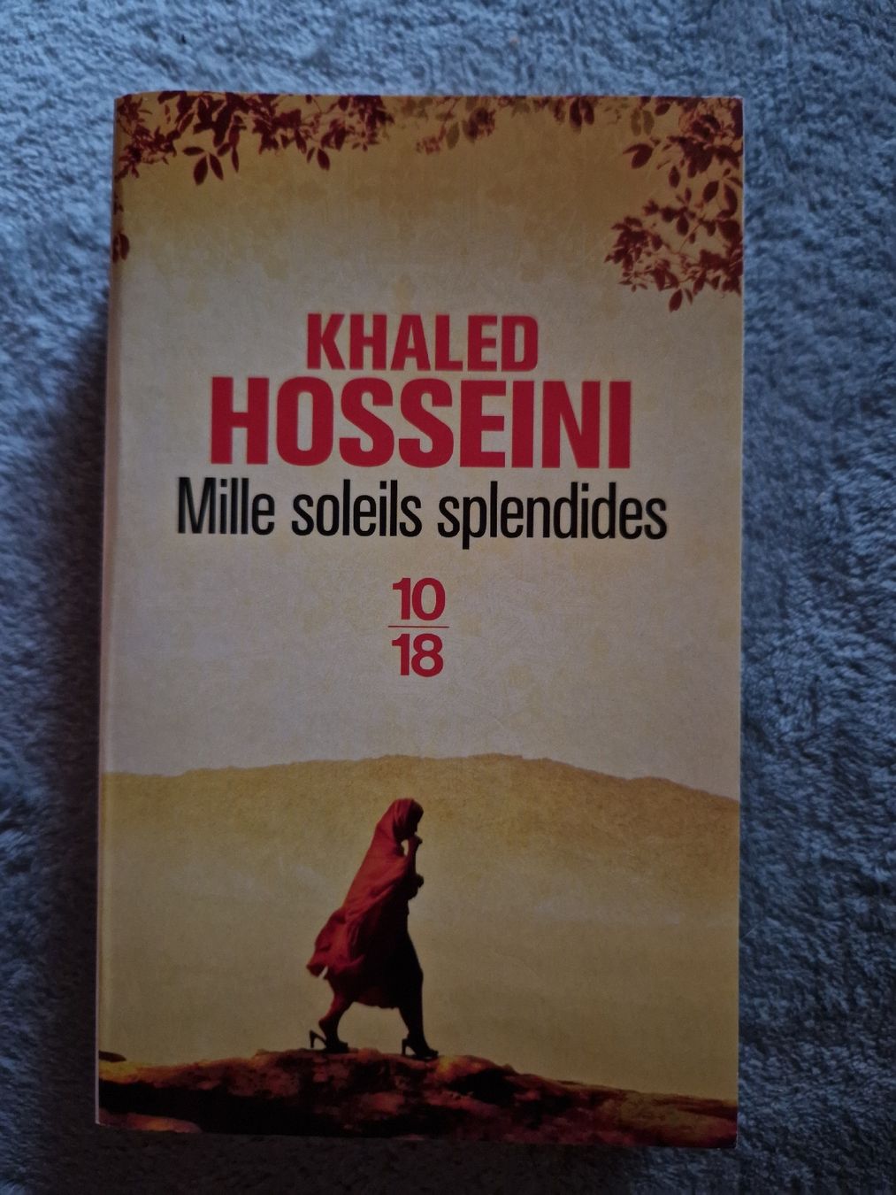 Libri: Mille soleils splendides Khaled Hosseini – Usato da Blignou (Ayent) venduto da Mazikeen