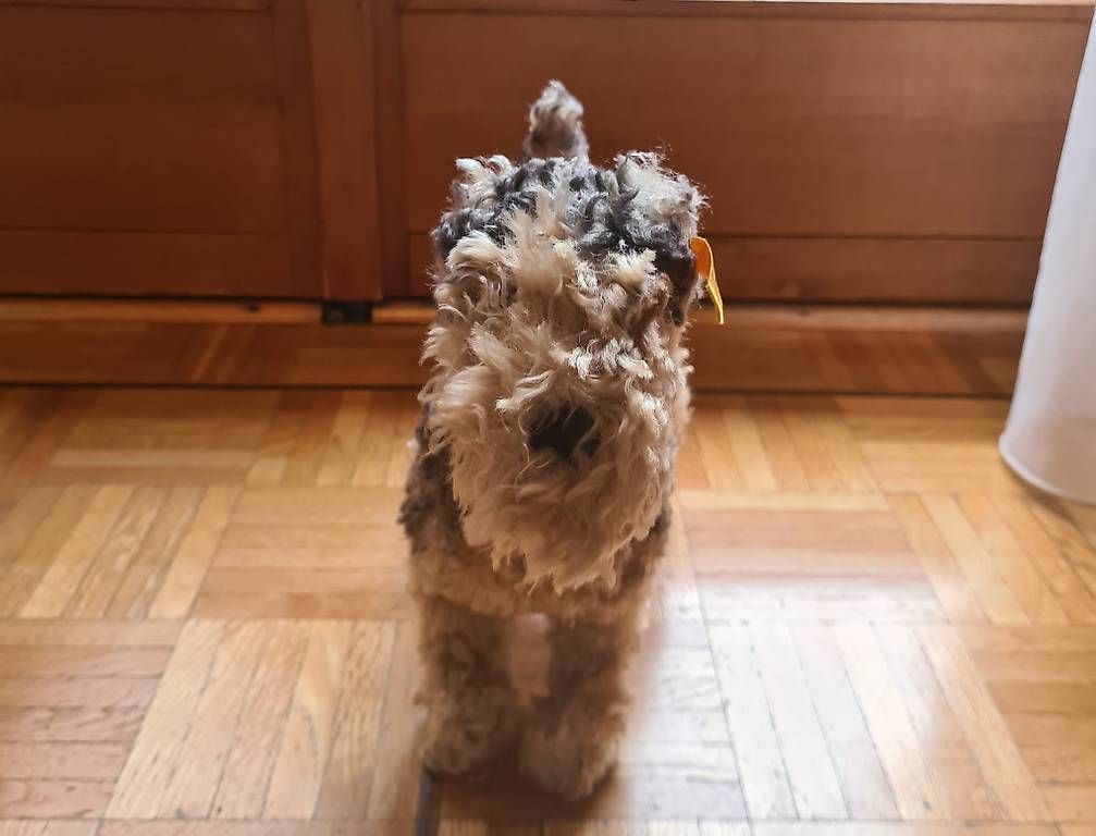 Steiff Giocattoli: Fox terrier peluche marque Steiff – Usato da Petit-Lancy venduto da sop_vkf9 3