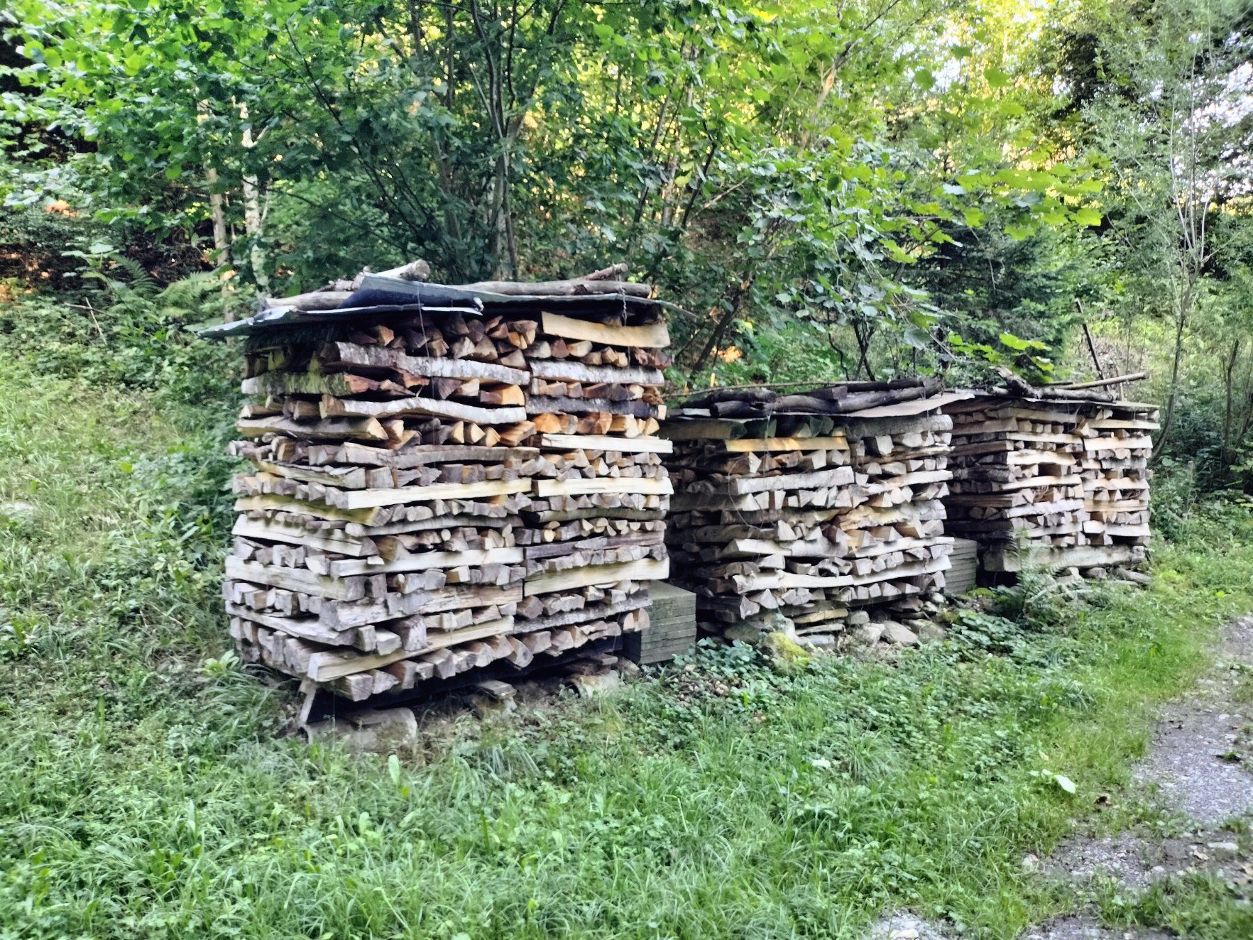 Holzartikel: Brennholz vorwiegend Buche – Neu (gemäss Beschreibung) aus Jona von nik_dwg2 3