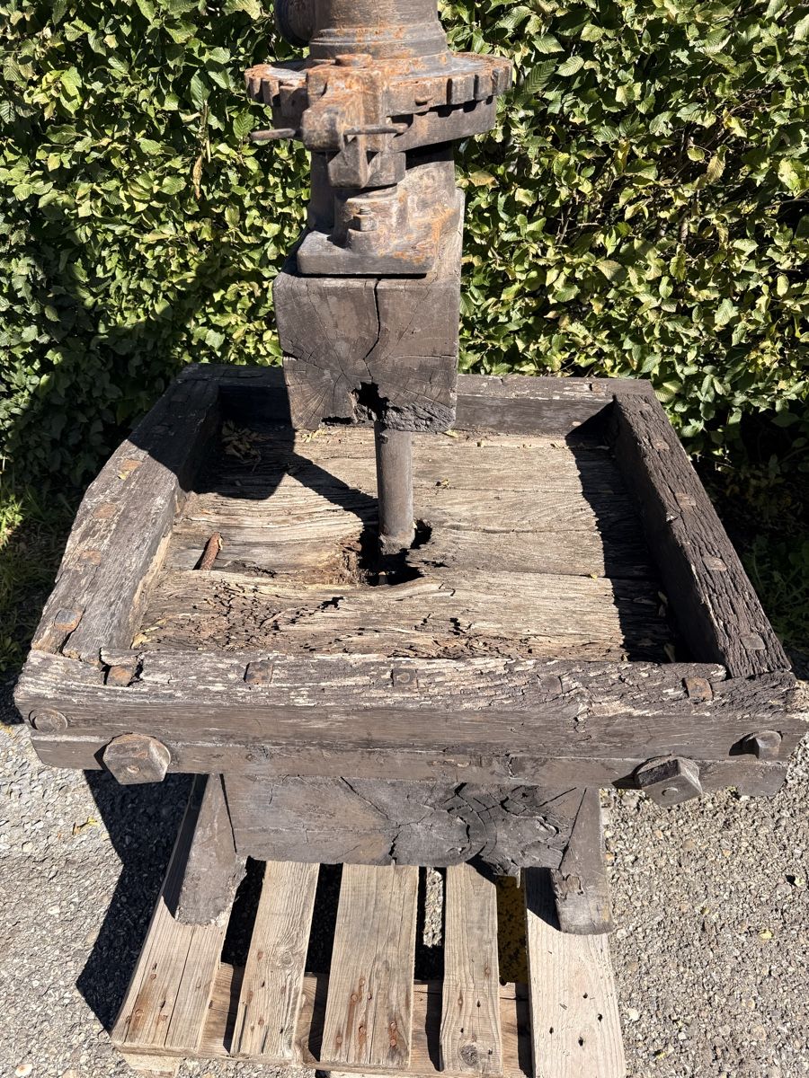 Tutte le macchine: Alte Holzpresse, Apfelpresse, antik, robust – Usato da Bonstetten venduto da TheSecretGarden 3