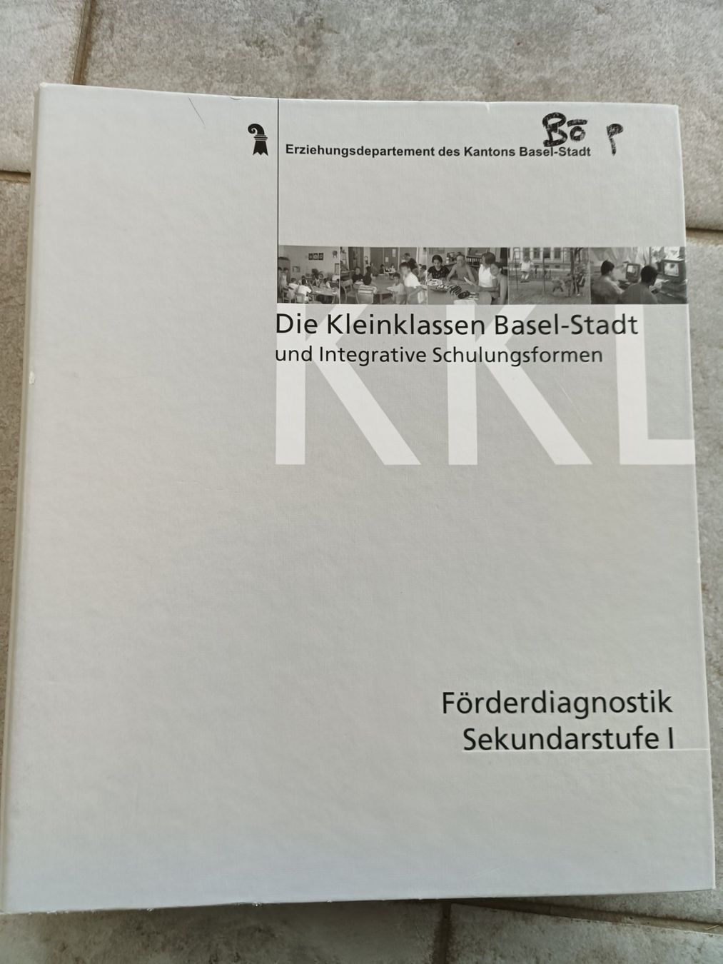 Raccoglitori: Ordner Förderdiagnostik Sekundarschule I – Usato da Aesch BL venduto da Rerosa43