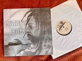 Bullwackies All Stars - Natures Dub