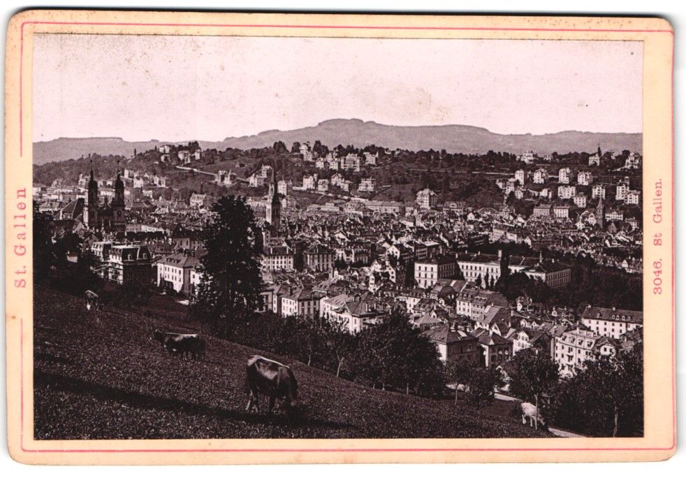 Fotografie & Manifesti: Fotografie St. Gallen, Stadtansicht mit  – Usato da Berlin venduto da bartko-reher