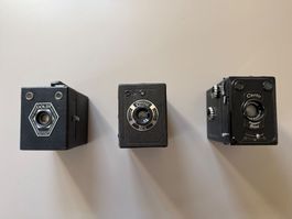 3 Boxkameras Goldy Rex Certo Set Vintage Kameras Konvolut