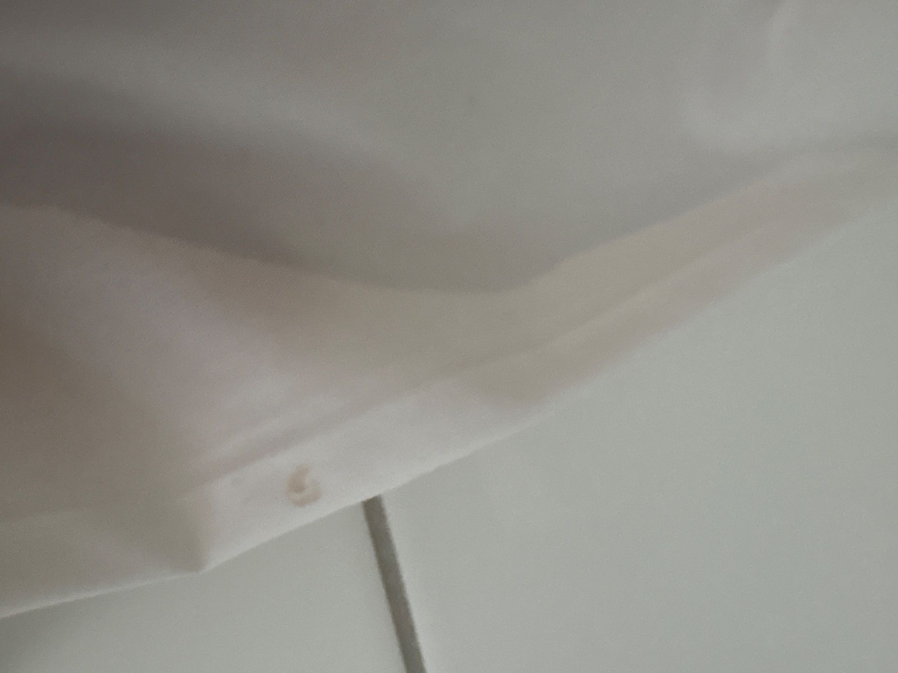 Camicie, T-shirt & Polo: Kinder Hemd, Grösse 152 – Usato da Winterthur venduto da nik_pr58 5