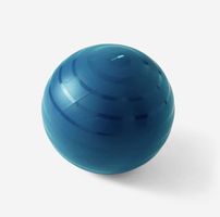 Ballon de Gym Gonflable Bleu Domyos