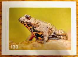 Migros Nature Detectives - Bild Nr. 139