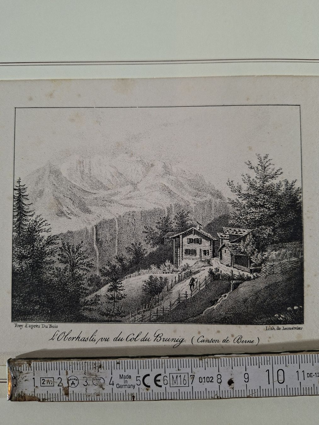 Incisioni: Lot 53 , 10 Stiche  – Usato da Grindelwald venduto da carro5 5