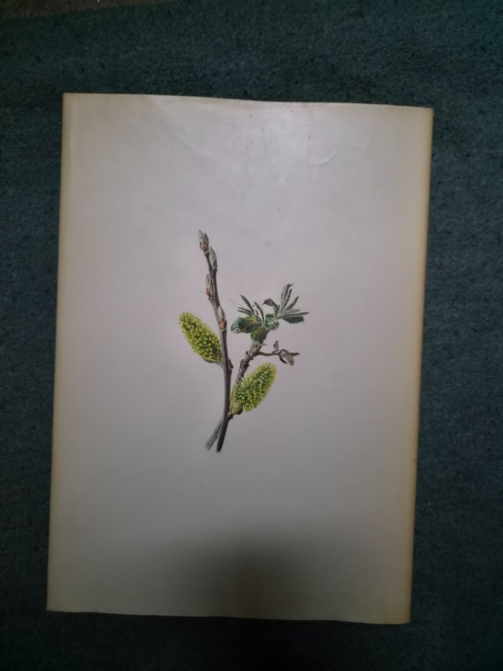 Bücher: Buch Aus unserem Wald – Gebraucht aus Regensdorf von Mischa88 1