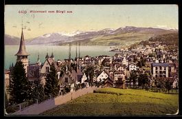 AK Wädenswil, Blick vom Bürgli aus