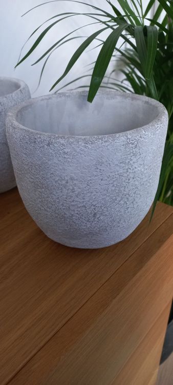 Blumentopf von Butler Grau Betonoptik Kaufen auf Ricardo