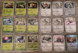 Pokémon Bundle ab 1Fr. – Holos, Reverse Holos & Illustration